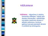 Komenskio Logo sistema 5 puslapis