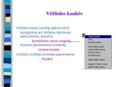 Komenskio Logo sistema 6 puslapis