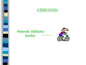 Komenskio Logo sistema 7 puslapis