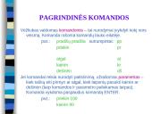 Komenskio Logo sistema 8 puslapis