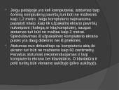 Kompiuteris ir sveikata - problemos Lietuvoje 6 puslapis
