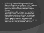 Kompiuteris ir sveikata - problemos Lietuvoje 7 puslapis