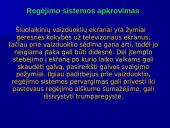 Kompiuterio ir sveikatos sąsaja 9 puslapis