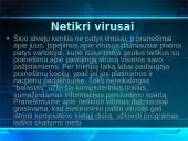 Kompiuteriniai virusai bei antivirusinės programos  12 puslapis
