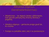 Konfliktas. Konflikto sprendimas 4 puslapis