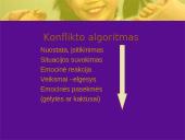 Konfliktas. Konflikto sprendimas 6 puslapis
