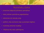 Konfliktas. Konflikto sprendimas 7 puslapis