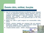 Kosta Rika 13 puslapis