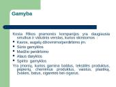 Kosta Rika 14 puslapis