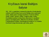 Kryžiaus žygių priežastys, datos bei rezultatai 8 puslapis