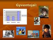 Kuba – ideali vieta turistams 6 puslapis