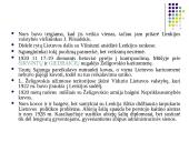 Lietuva 1918–1920 metais 17 puslapis