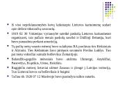 Lietuva 1918–1920 metais 8 puslapis