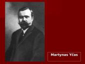 Lietuva Pirmojo pasaulinio karo metais 13 puslapis