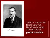 Lietuva Pirmojo pasaulinio karo metais 17 puslapis