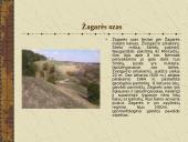 Lietuvos gamtos paminklai 11 puslapis