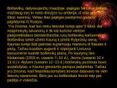 Lietuvos nepriklausomybės kovos su bolševikais, bermontininkais ir lenkais 5 puslapis