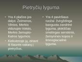 Lietuvos paviršius 14 puslapis