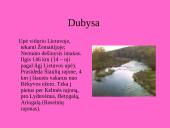 Lietuvos upės ir reljefas 12 puslapis