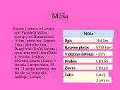 Lietuvos upės ir reljefas 6 puslapis