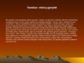 Lietuvos vandenys ir jų užterštumas 4 puslapis