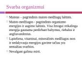 Maisto medžiagos ir jų šaltiniai 2 puslapis