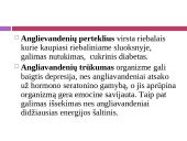 Maisto medžiagos ir jų šaltiniai 5 puslapis
