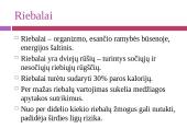Maisto medžiagos ir jų šaltiniai 6 puslapis