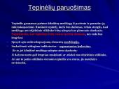 Makšties tepinėlio laboratorinis tyrimas 14 puslapis