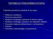 Makšties tepinėlio laboratorinis tyrimas 15 puslapis