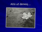 Makšties tepinėlio laboratorinis tyrimas 20 puslapis