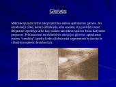 Makšties tepinėlio laboratorinis tyrimas 4 puslapis