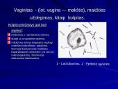 Makšties tepinėlio laboratorinis tyrimas 8 puslapis