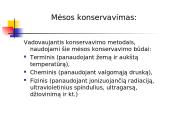 Mėsos gaminiai 12 puslapis