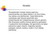 Mėsos gaminiai 20 puslapis