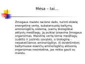 Mėsos gaminiai 3 puslapis
