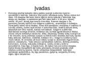 Mitybos sutrikimai. Psichologinės ir socialinės priežastys 2 puslapis