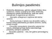 Mitybos sutrikimai. Psichologinės ir socialinės priežastys 14 puslapis