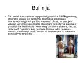 Mitybos sutrikimai. Psichologinės ir socialinės priežastys 8 puslapis