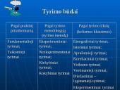 Mokslinis tyrimas 11 puslapis