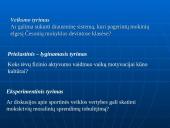 Mokslinis tyrimas 14 puslapis