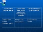 Mokslinis tyrimas 15 puslapis