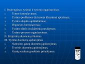 Mokslinis tyrimas 17 puslapis