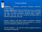 Mokslinis tyrimas 19 puslapis