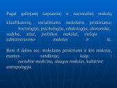 Mokslinis tyrimas 20 puslapis