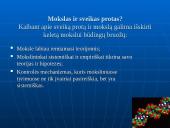 Mokslinis tyrimas 5 puslapis