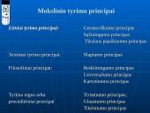 Mokslinis tyrimas 10 puslapis