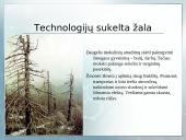 Mokslo revoliucija 12 puslapis