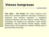 Nacionalizmo atsiradimas ir tautiniai sąjūdžiai Europoje 13 puslapis