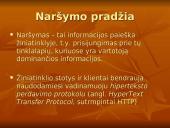 Naršymas ir naršyklė 3 puslapis